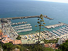 BLANES: Pstav